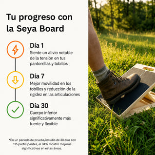 Seya Board 2.0