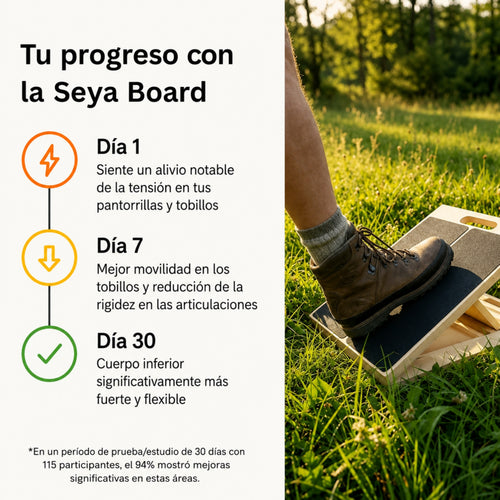 Seya Board 2.0